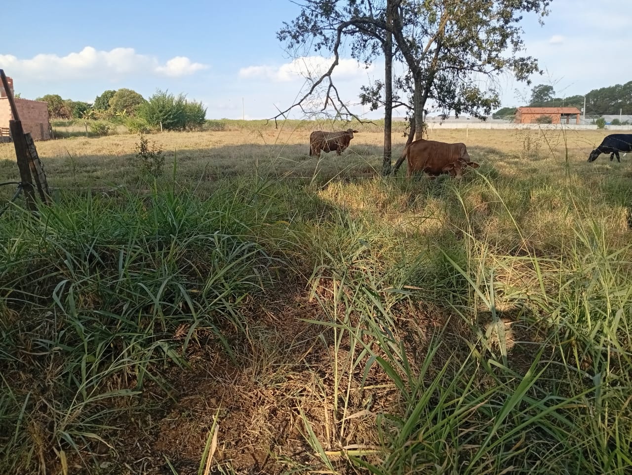 Terreno de 3.000 m² à Venda em Tatuí – Pronto para Construir, com Poço e Localização Estratégica