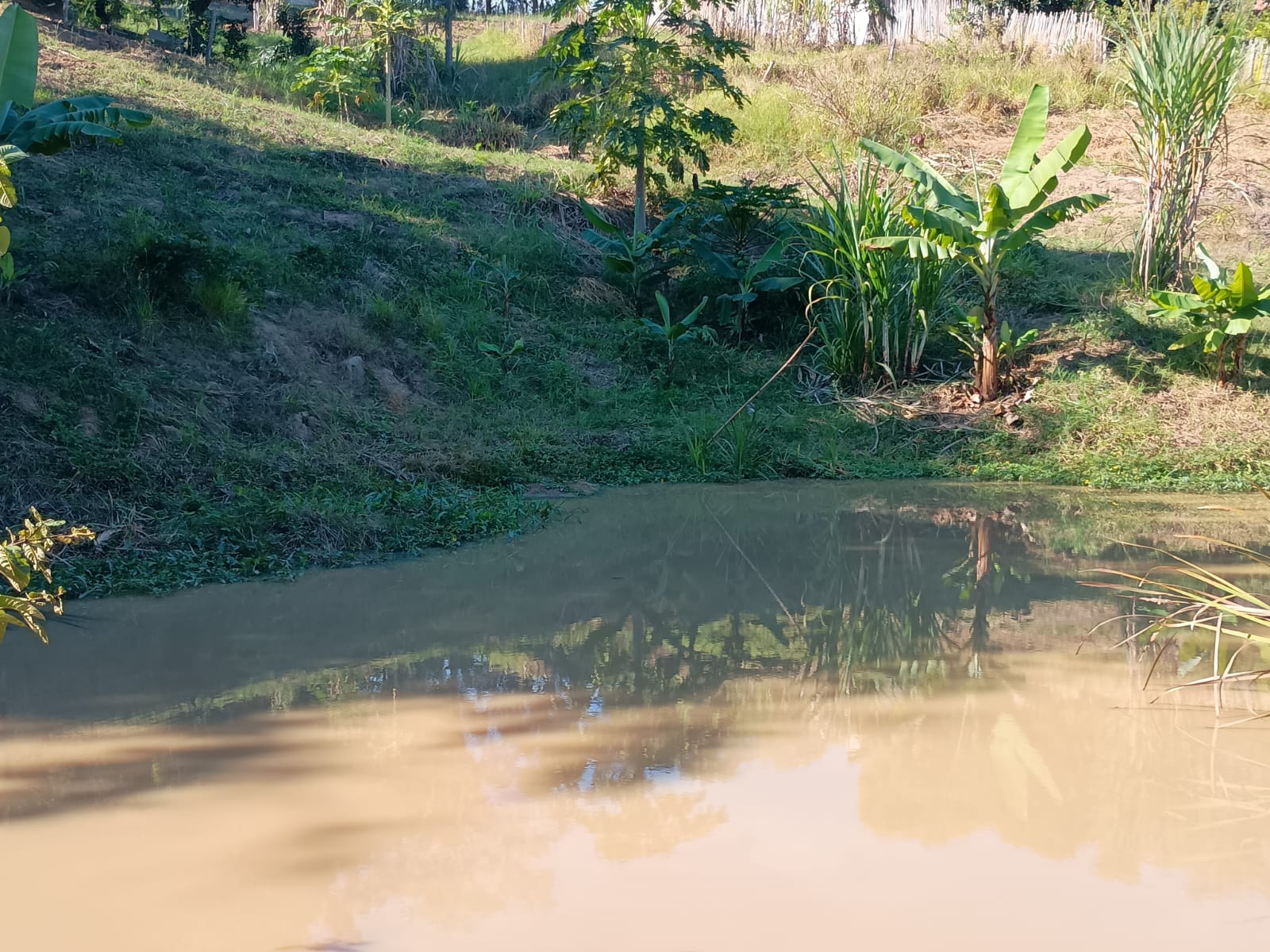 Chácara com Nascente à Venda no Bairro Congonhal do Meio – Tatuí/SP