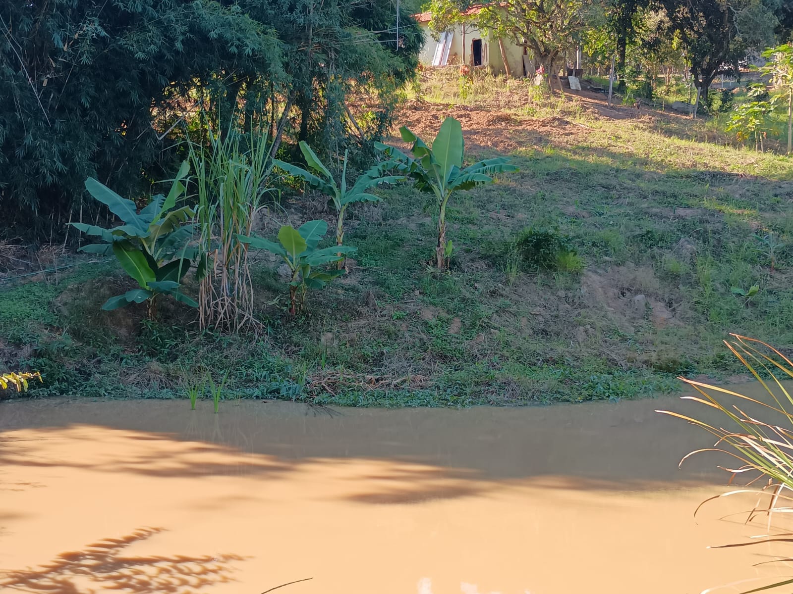 Chácara com Nascente à Venda no Bairro Congonhal do Meio – Tatuí/SP