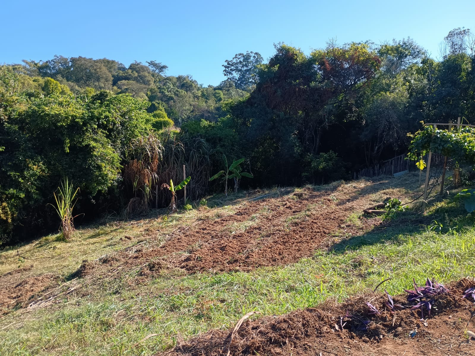 Chácara com Nascente à Venda no Bairro Congonhal do Meio – Tatuí/SP