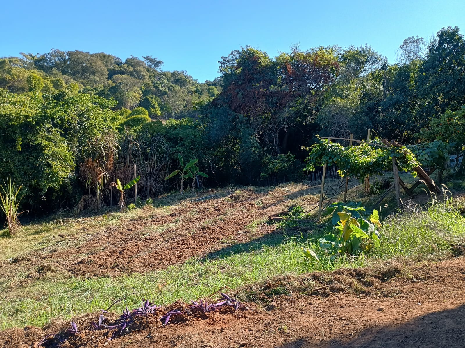 Chácara com Nascente à Venda no Bairro Congonhal do Meio – Tatuí/SP