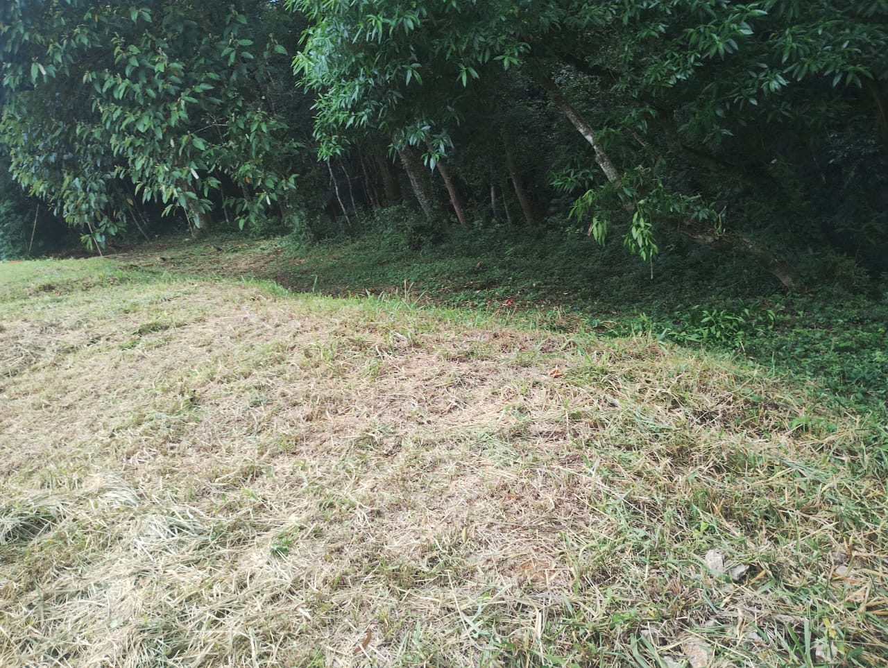 Terreno Rural - Venda, Bairro dos Mirandas, Tatuí, SP