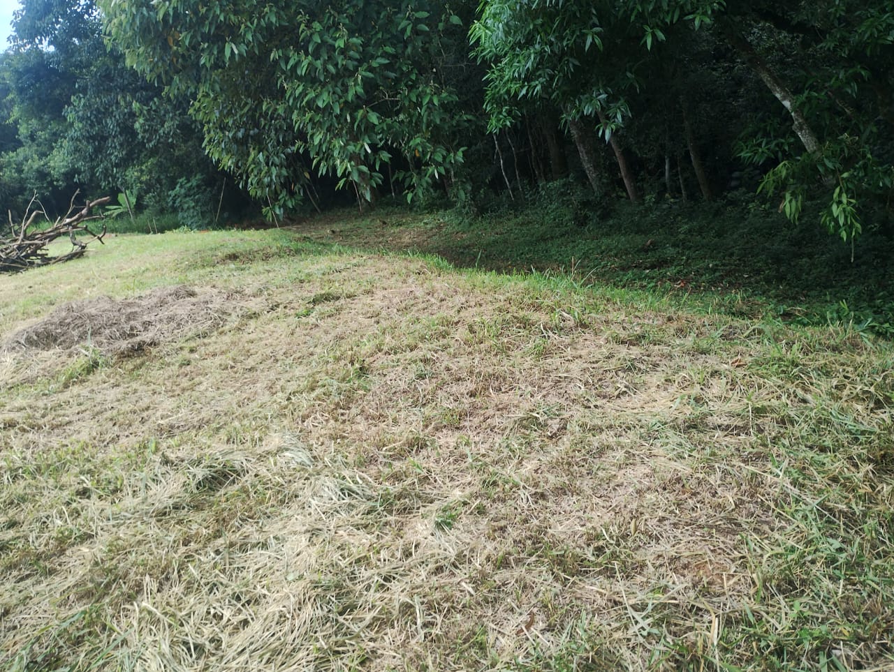 Terreno Amplo à Venda em Tatuí – Bairro Santuário (Mirandas) 