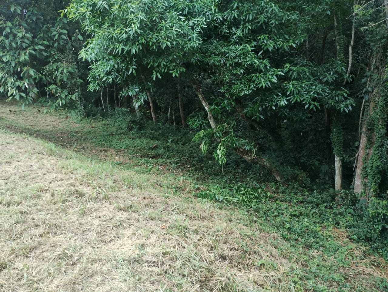 Terreno Amplo à Venda em Tatuí – Bairro Santuário (Mirandas) 