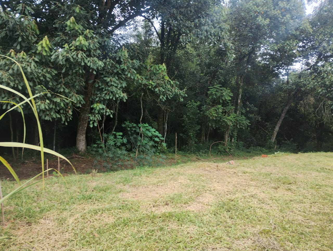 Terreno Amplo à Venda em Tatuí – Bairro Santuário (Mirandas) 