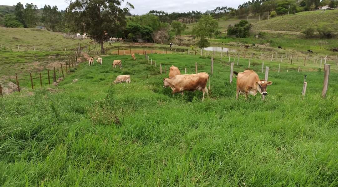 Chacara à Venda em Porangaba/SP – 20.500 m² – Apenas R$ 350 mil