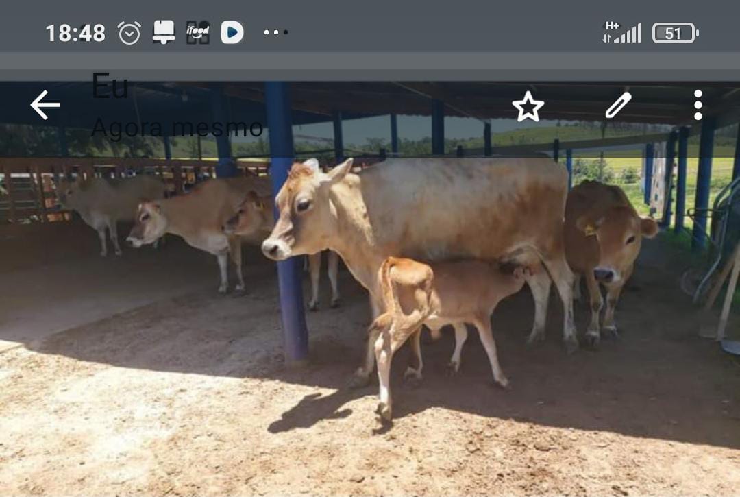 Chacara à Venda em Porangaba/SP – 20.500 m² – Apenas R$ 350 mil