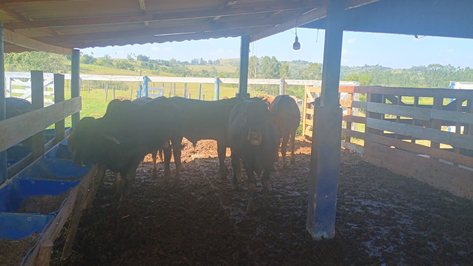 Chacara à Venda em Porangaba/SP – 20.500 m² – Apenas R$ 350 mil