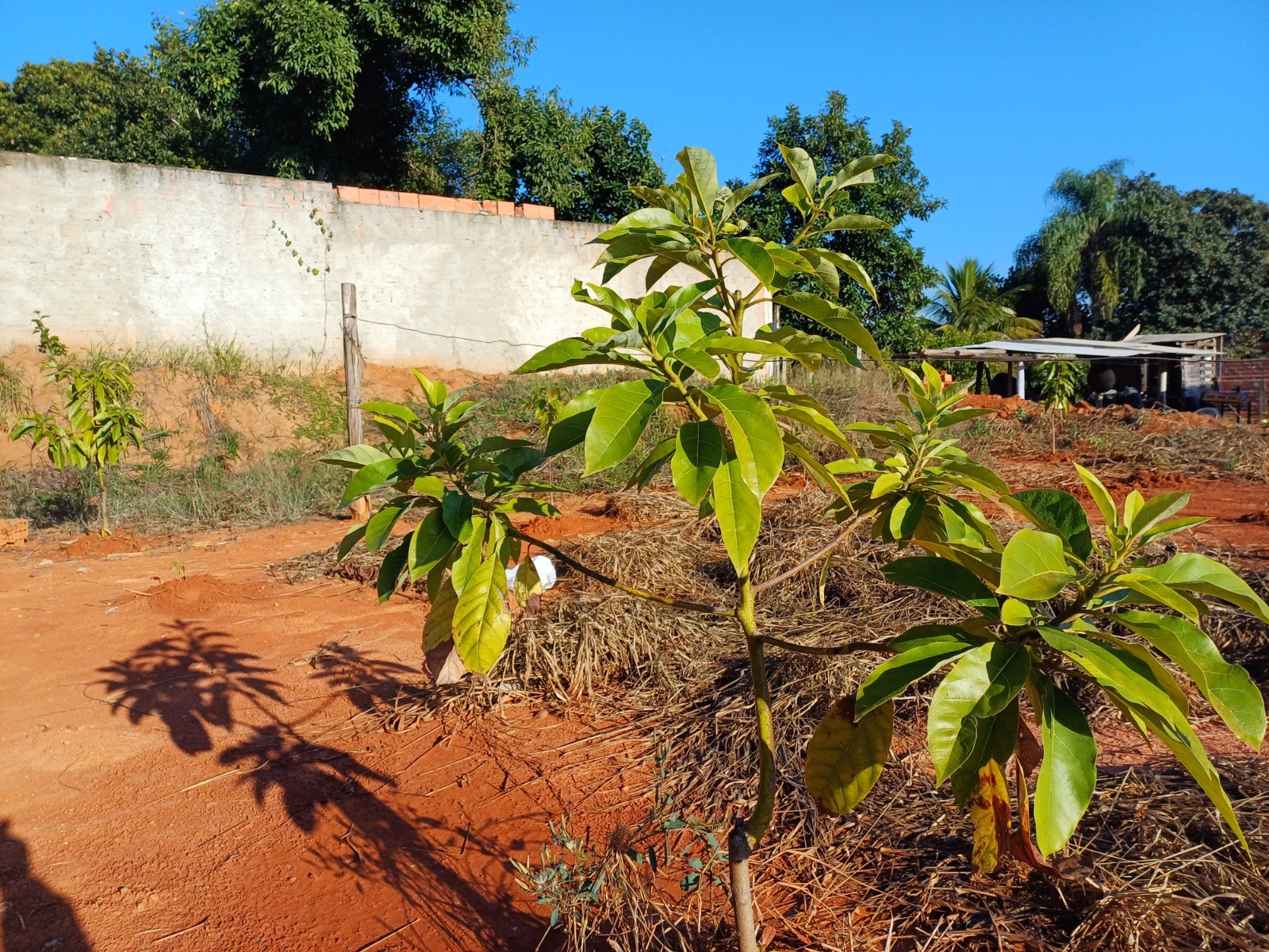 Chácara à Venda no Terras do Carmo I – Tatuí/SP