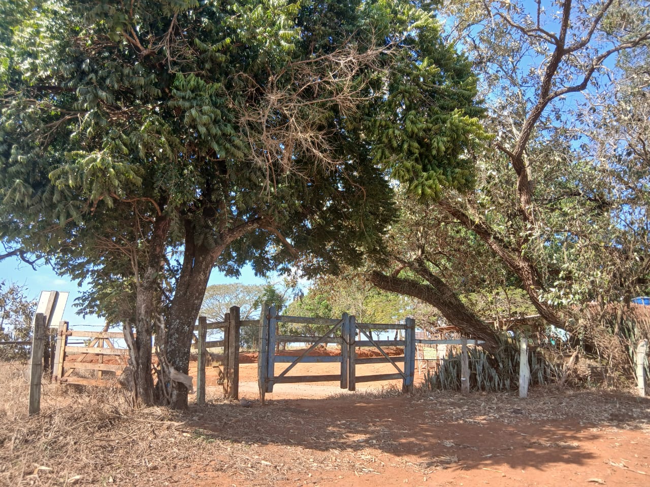 Sítio à venda com 6 alqueires, lago natural, nascente e escritura registrada – Uma oportunidade rara com alto potencial