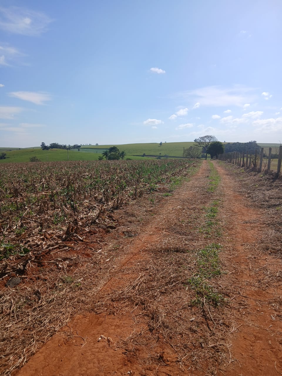 Sítio à venda com 6 alqueires, lago natural, nascente e escritura registrada – Uma oportunidade rara com alto potencial