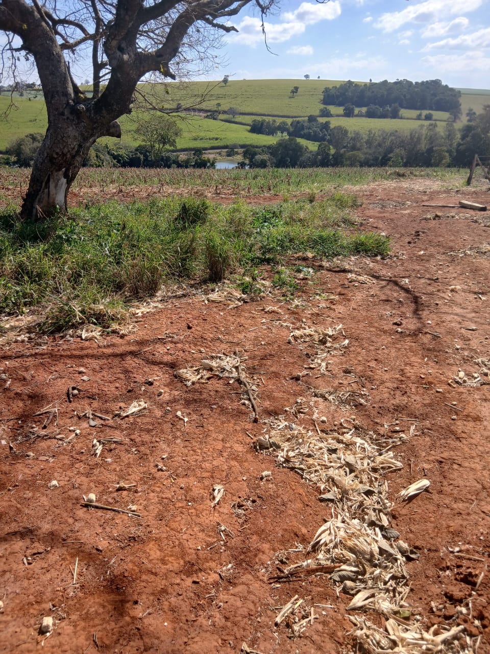 Sítio à venda com 6 alqueires, lago natural, nascente e escritura registrada – Uma oportunidade rara com alto potencial