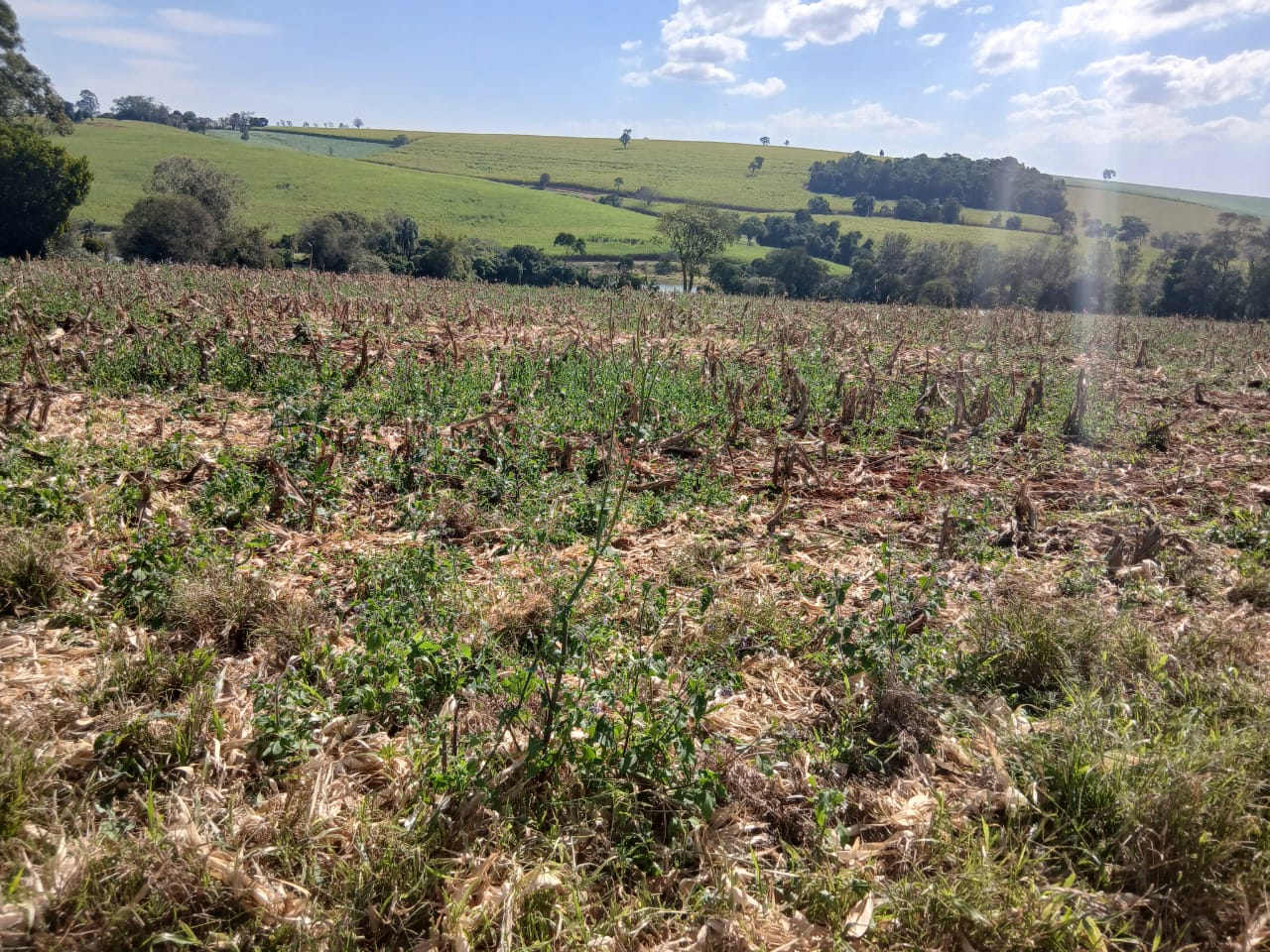Sítio à venda com 6 alqueires, lago natural, nascente e escritura registrada – Uma oportunidade rara com alto potencial