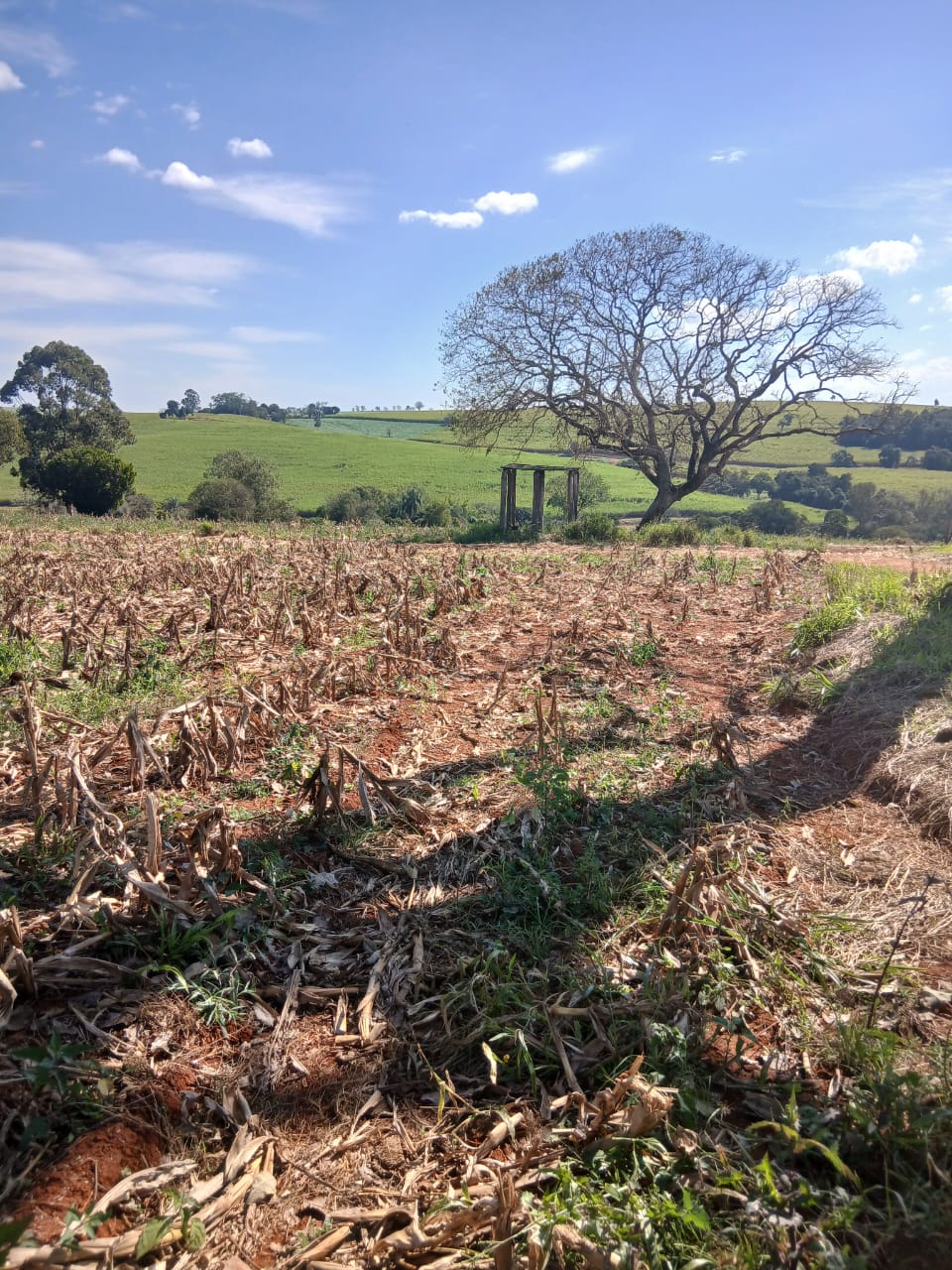 Sítio à venda com 6 alqueires, lago natural, nascente e escritura registrada – Uma oportunidade rara com alto potencial