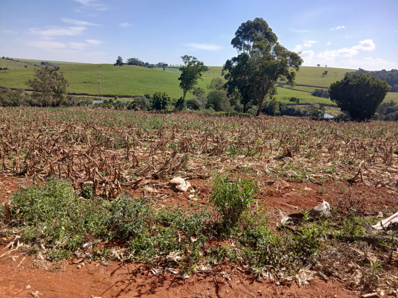 Sítio à venda com 6 alqueires, lago natural, nascente e escritura registrada – Uma oportunidade rara com alto potencial