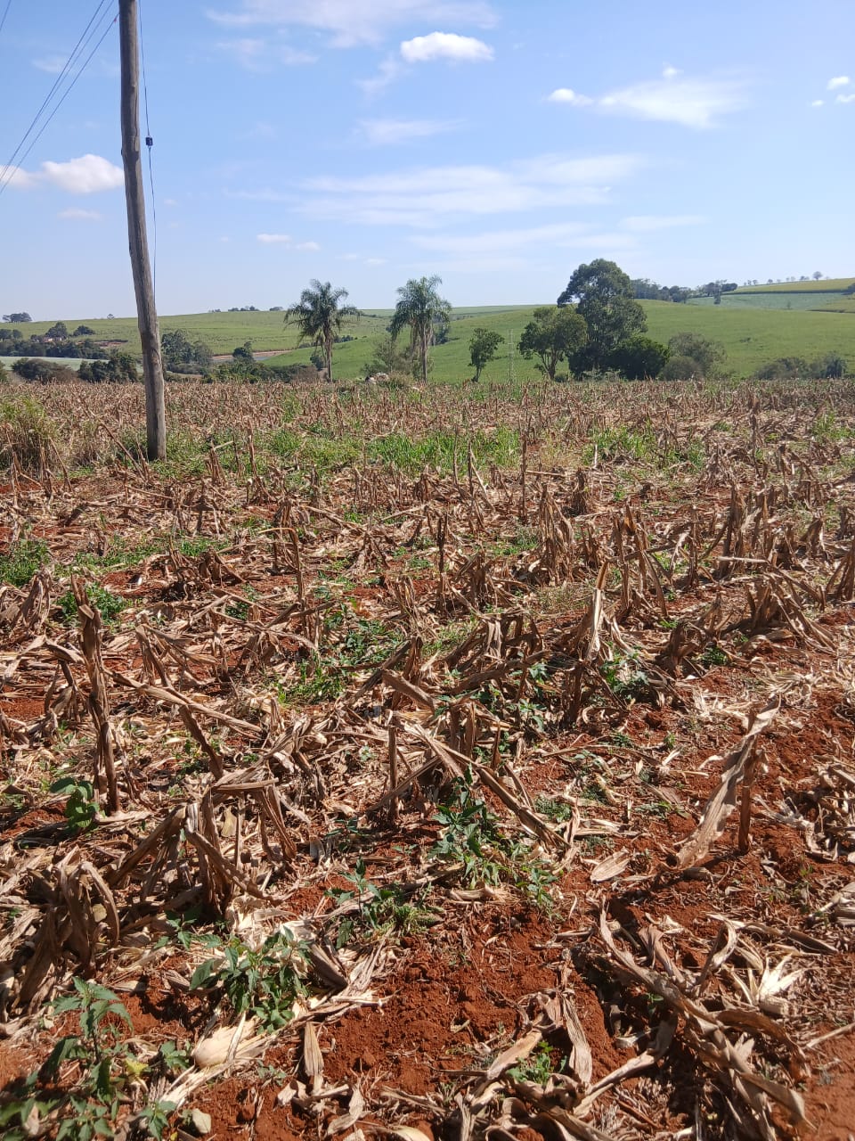 Sítio à venda com 6 alqueires, lago natural, nascente e escritura registrada – Uma oportunidade rara com alto potencial