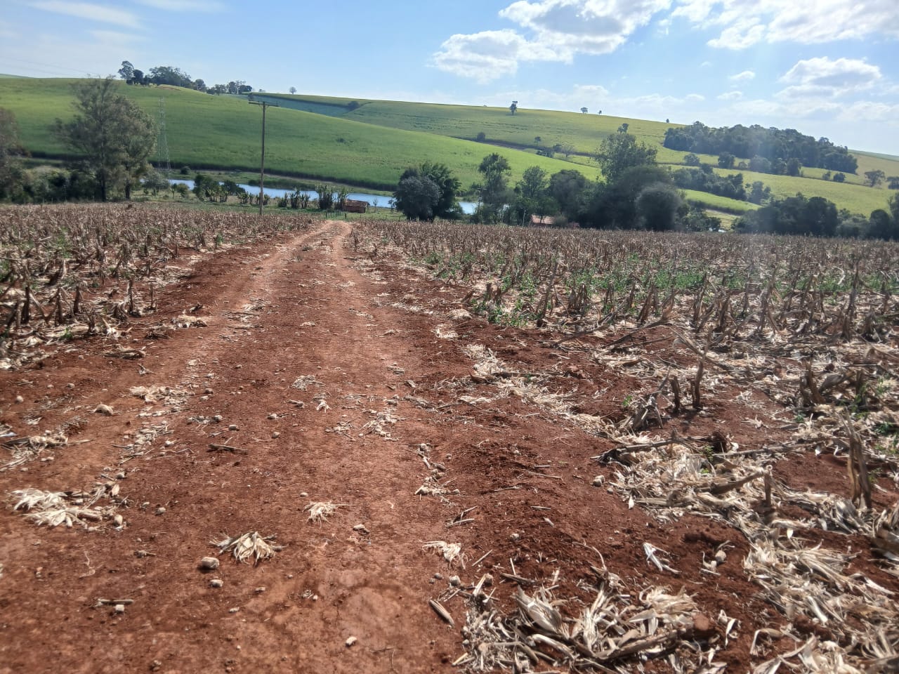 Sítio à venda com 6 alqueires, lago natural, nascente e escritura registrada – Uma oportunidade rara com alto potencial