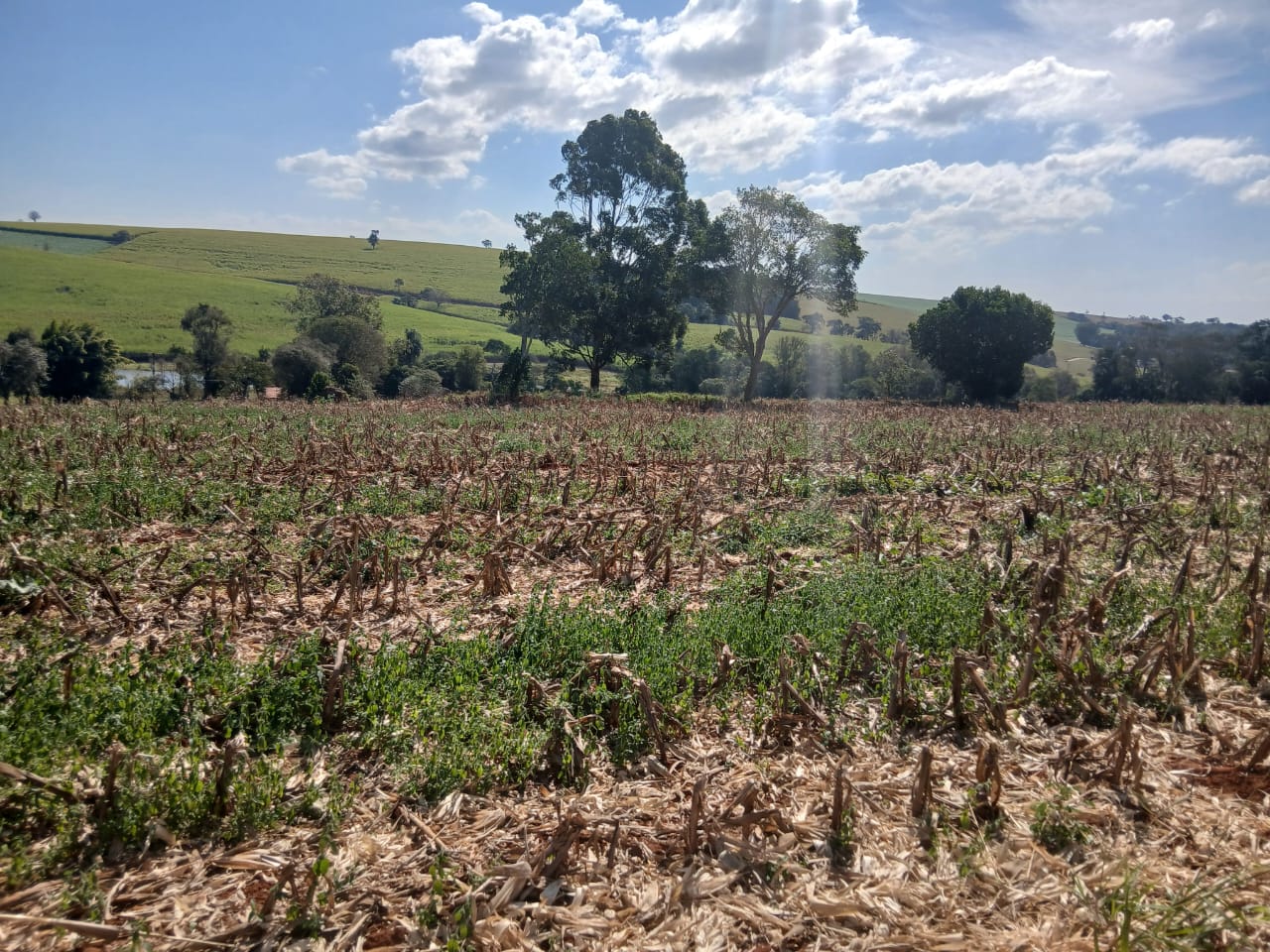 Sítio à venda com 6 alqueires, lago natural, nascente e escritura registrada – Uma oportunidade rara com alto potencial