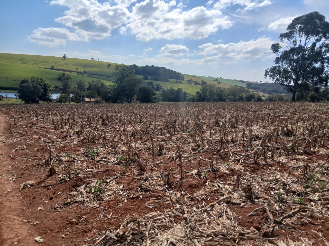 Sítio à venda com 6 alqueires, lago natural, nascente e escritura registrada – Uma oportunidade rara com alto potencial