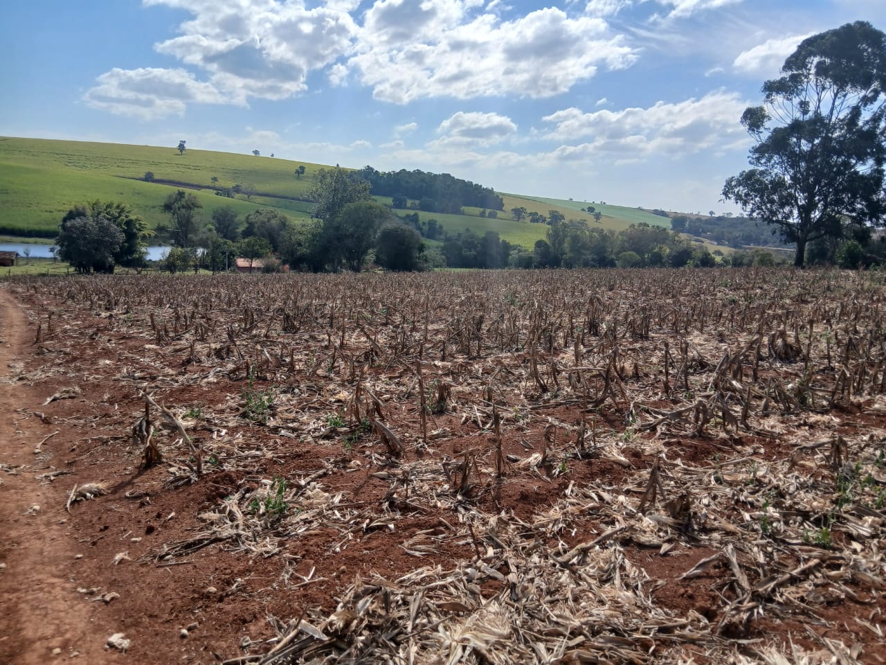 Sítio à venda com 6 alqueires, lago natural, nascente e escritura registrada – Uma oportunidade rara com alto potencial