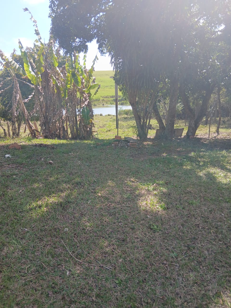 Sítio à venda com 6 alqueires, lago natural, nascente e escritura registrada – Uma oportunidade rara com alto potencial