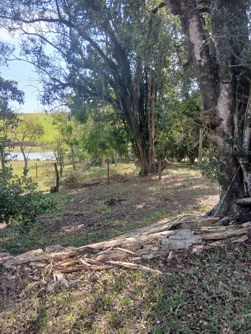 Sítio à venda com 6 alqueires, lago natural, nascente e escritura registrada – Uma oportunidade rara com alto potencial