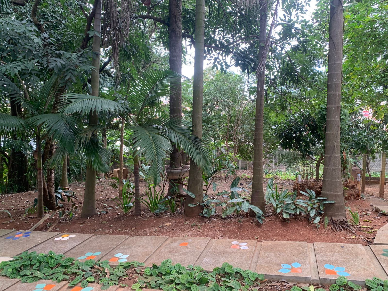 Exclusiva Chácara Urbana com 2.060m² no Coração de Tatuí – Venda Direta, Escritura Registrada