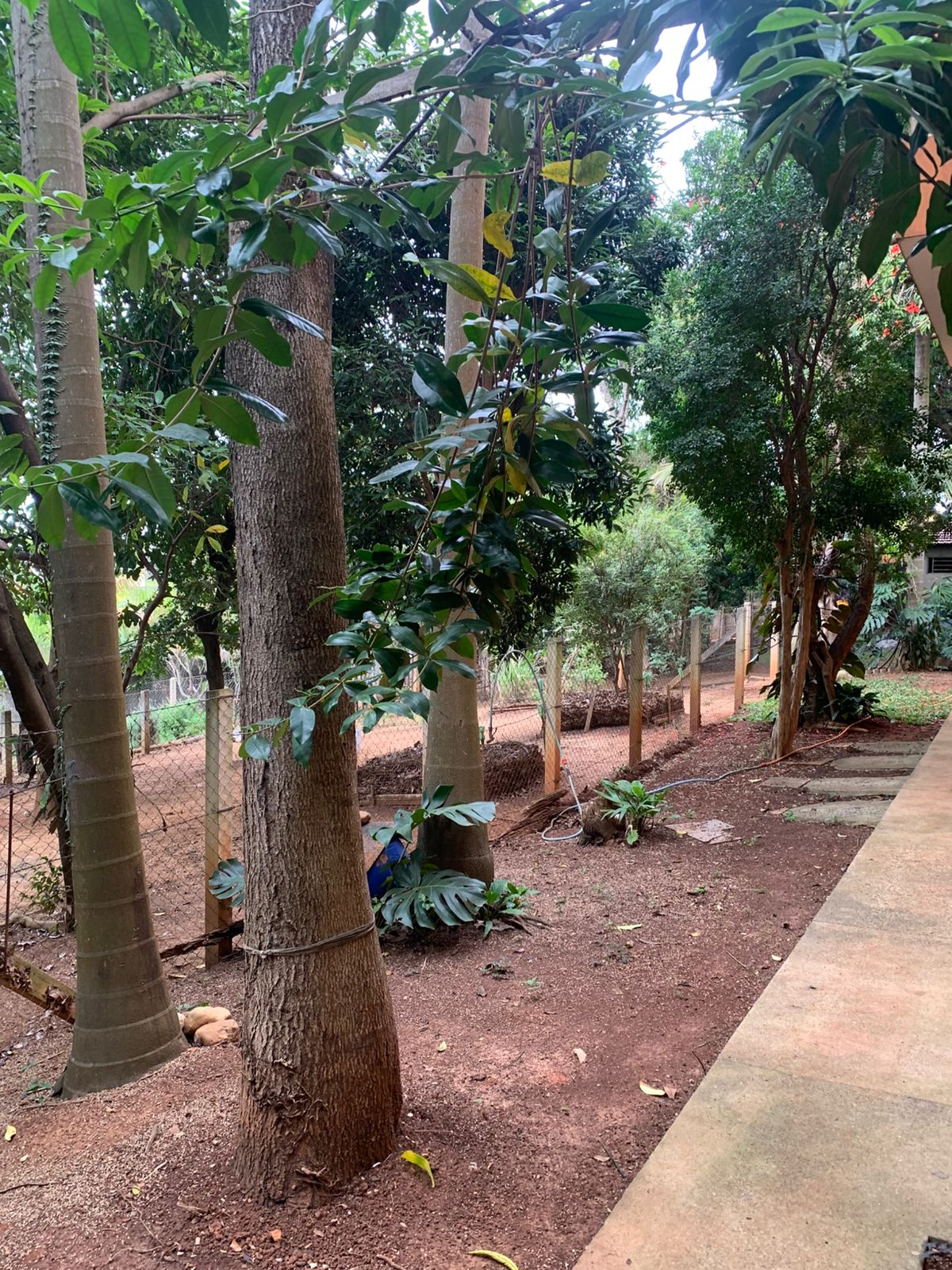 Exclusiva Chácara Urbana com 2.060m² no Coração de Tatuí – Venda Direta, Escritura Registrada