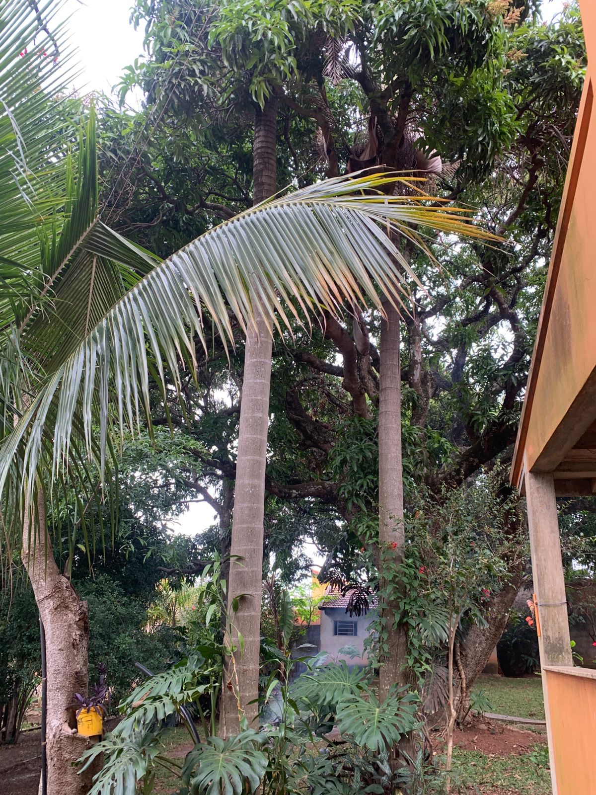 Exclusiva Chácara Urbana com 2.060m² no Coração de Tatuí – Venda Direta, Escritura Registrada