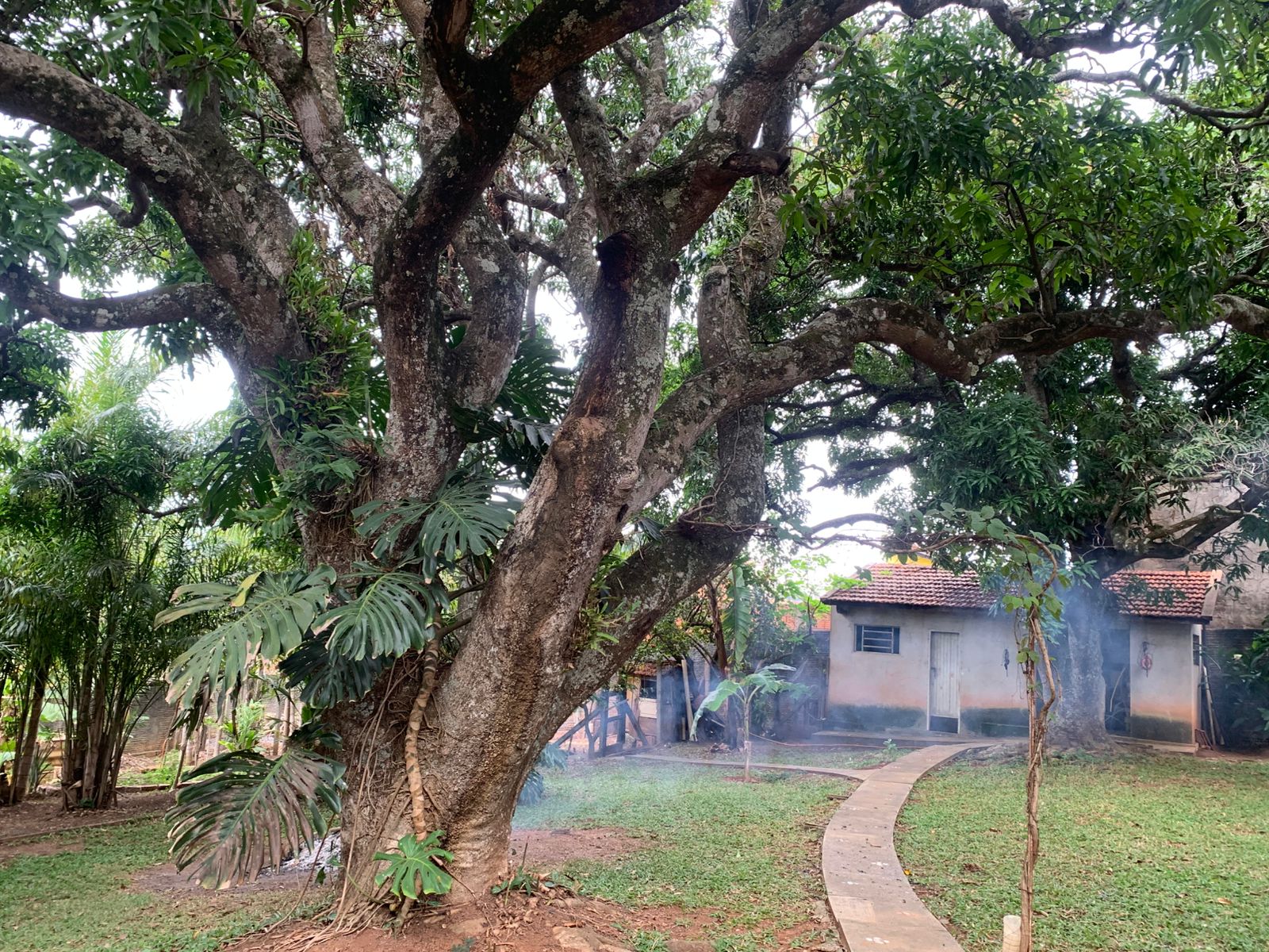 Exclusiva Chácara Urbana com 2.060m² no Coração de Tatuí – Venda Direta, Escritura Registrada