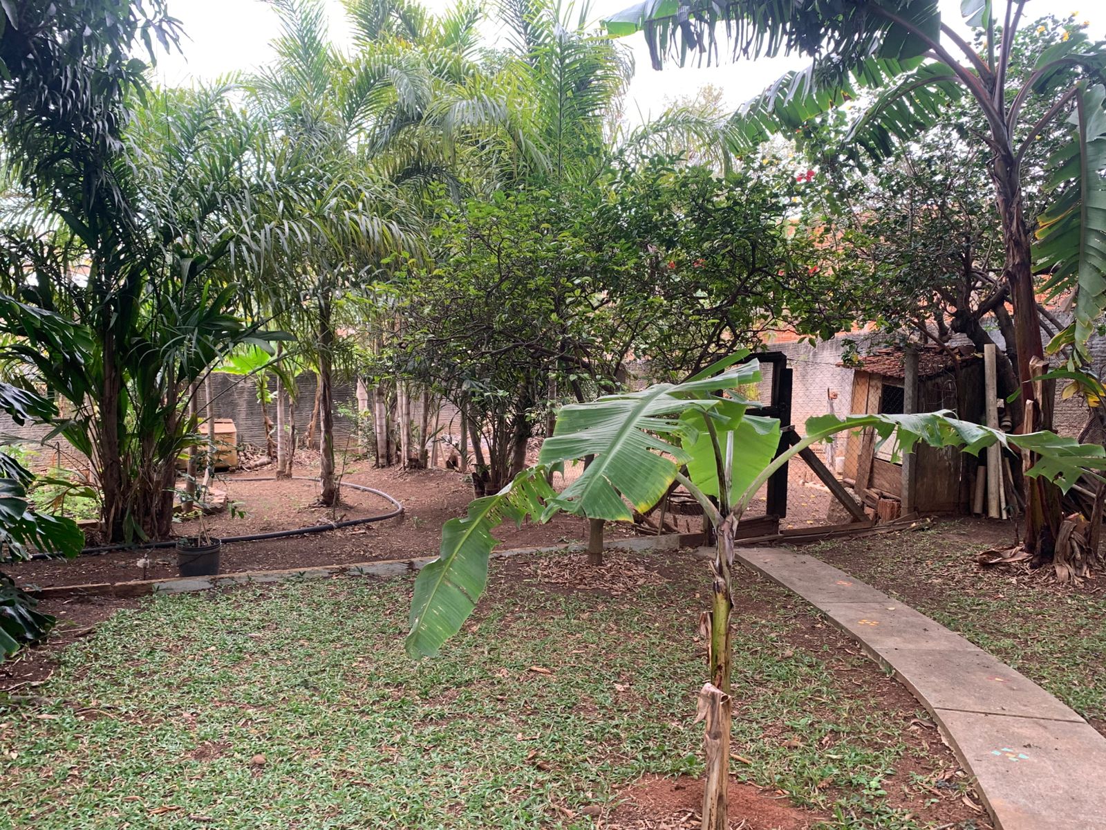 Exclusiva Chácara Urbana com 2.060m² no Coração de Tatuí – Venda Direta, Escritura Registrada