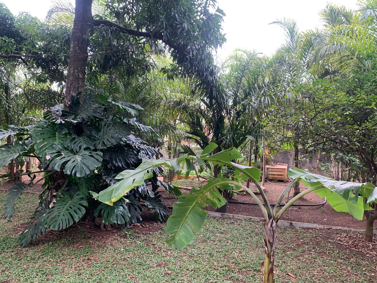 Exclusiva Chácara Urbana com 2.060m² no Coração de Tatuí – Venda Direta, Escritura Registrada