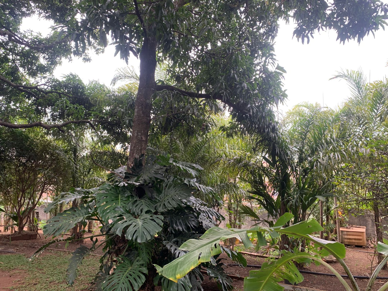 Exclusiva Chácara Urbana com 2.060m² no Coração de Tatuí – Venda Direta, Escritura Registrada