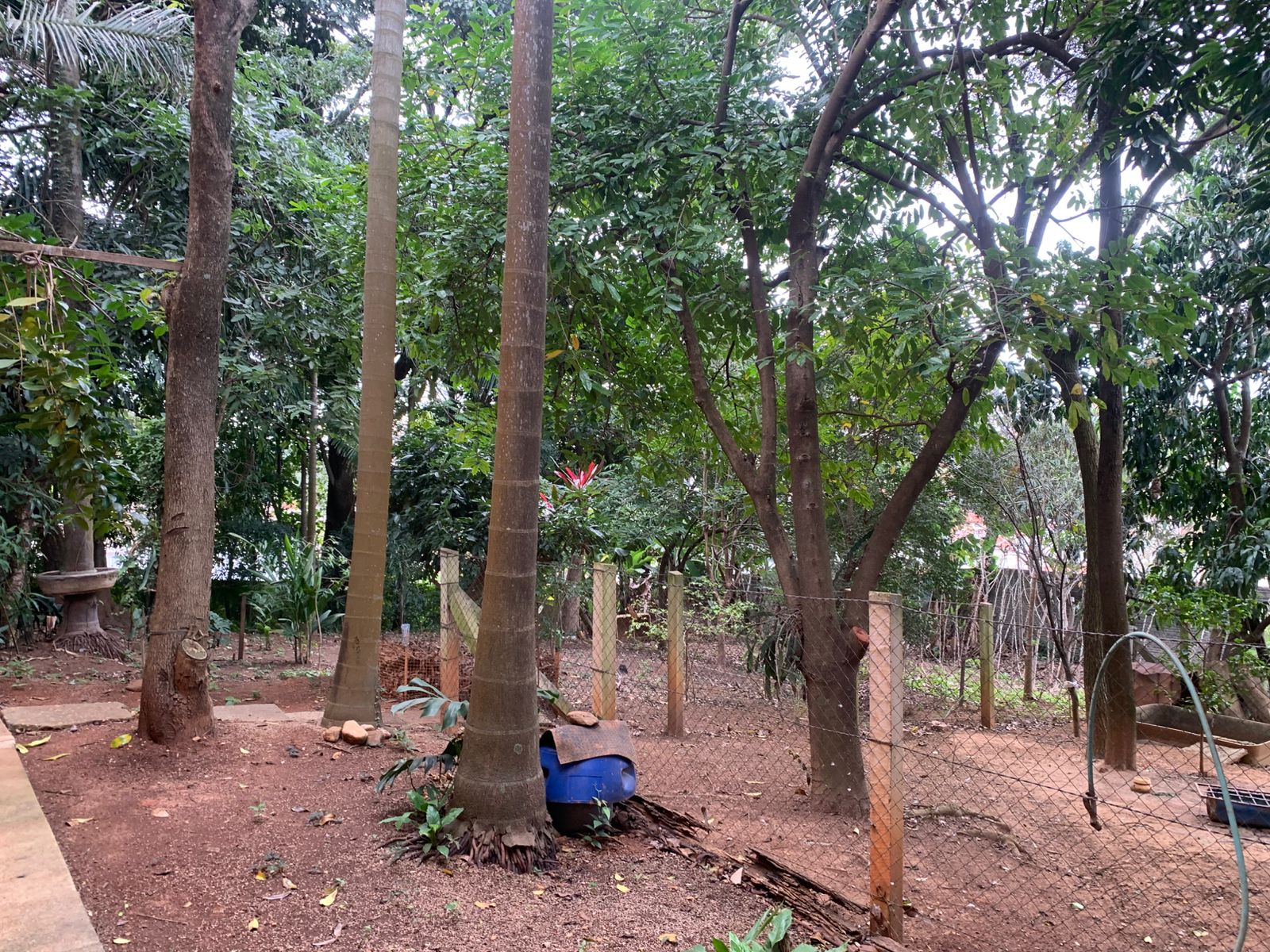 Exclusiva Chácara Urbana com 2.060m² no Coração de Tatuí – Venda Direta, Escritura Registrada
