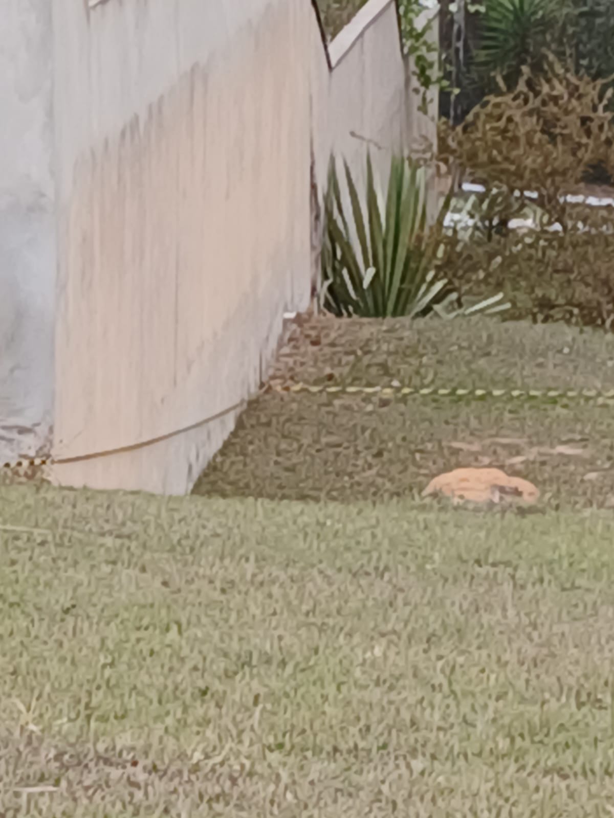 Terrenos à Venda no Condomínio Ecopark – Natureza, Tranquilidade e Investimento Seguro