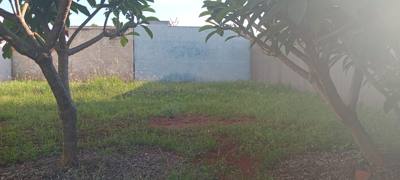 Terreno - Venda