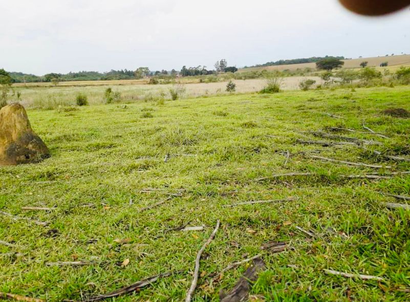 Área de 12 alqueires a venda em Capela do Alto - SP.