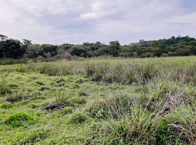 Área de 12 alqueires a venda em Capela do Alto - SP.