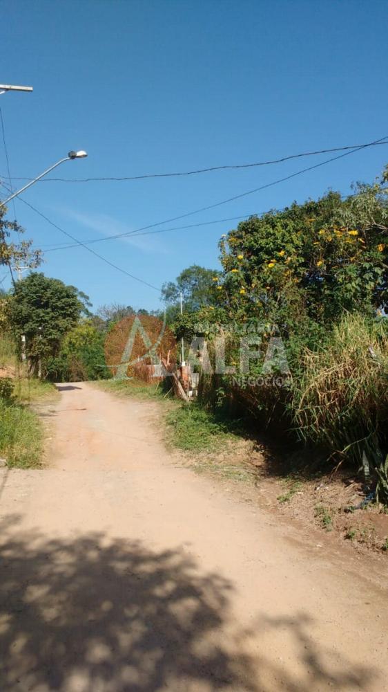 Terreno à venda com 1 quarto, 2000m² - Foto 7