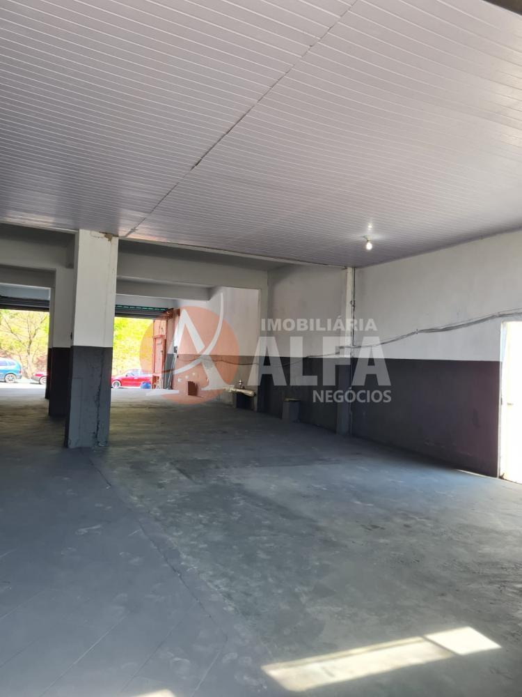 Conjunto Comercial-Sala à venda com 9 quartos, 6000m² - Foto 6