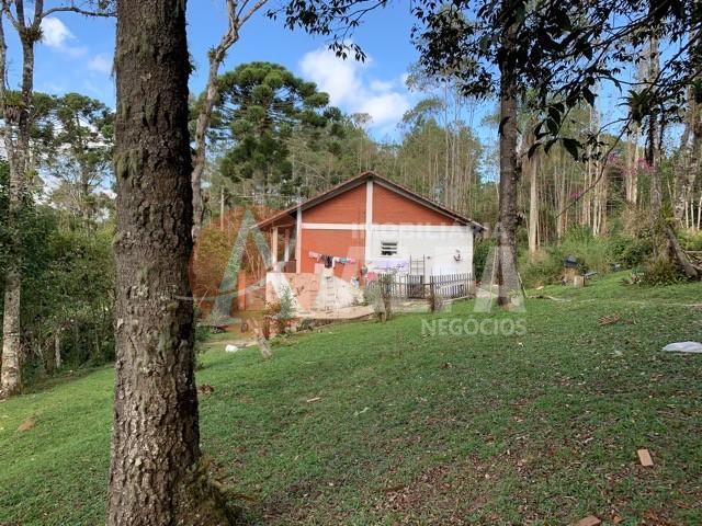 Fazenda à venda com 4 quartos, 40000m² - Foto 13