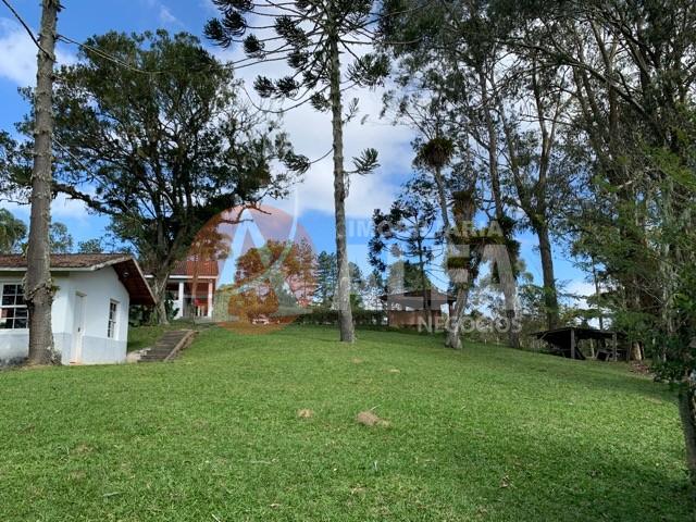 Fazenda à venda com 4 quartos, 40000m² - Foto 5