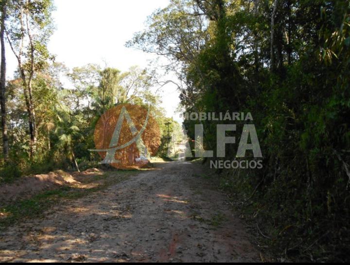 Terreno à venda com 1 quarto, 1000m² - Foto 7