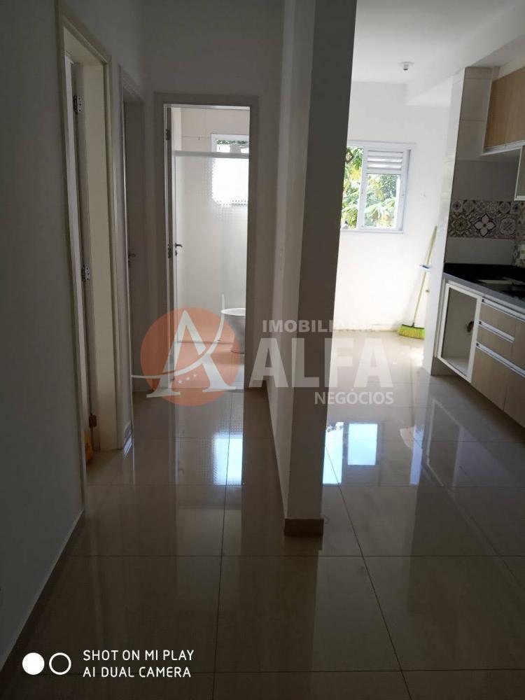 Apartamento à venda com 2 quartos, 48m² - Foto 3