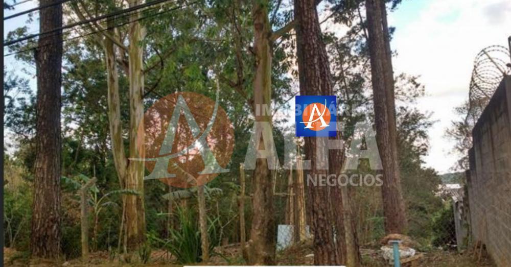 Terreno - 650 mts 2 - Parque dos Pinos - Cotia / SP