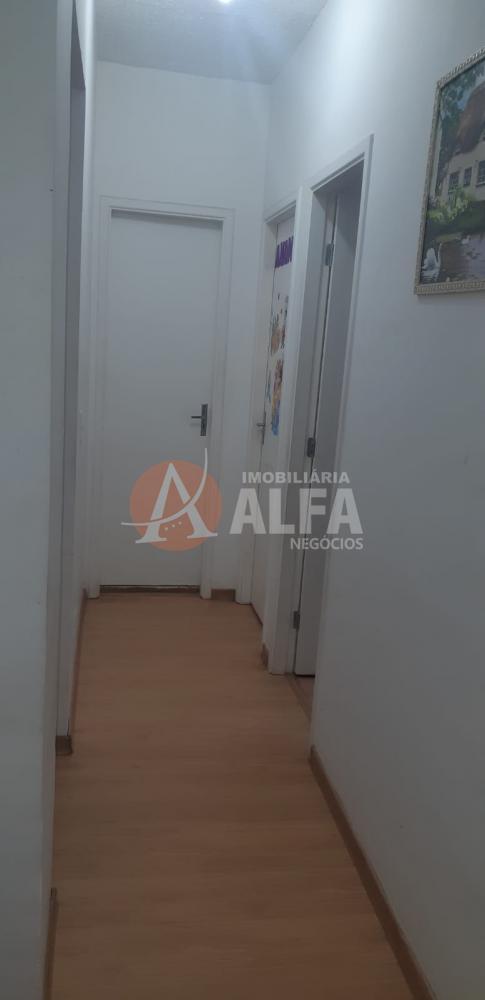 Apartamento à venda com 2 quartos, 46m² - Foto 4