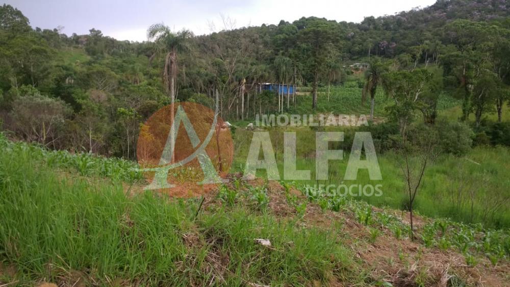 Terreno à venda com 1 quarto, 31000m² - Foto 8