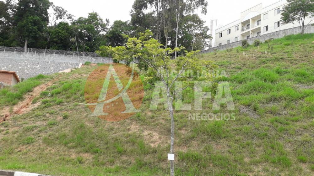 Terreno à venda com 1 quarto, 725m² - Foto 3