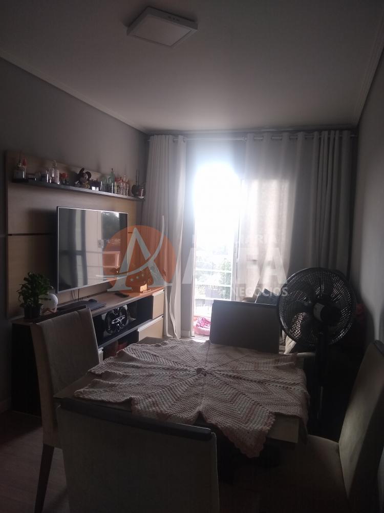 Apartamento à venda com 2 quartos, 52m² - Foto 14