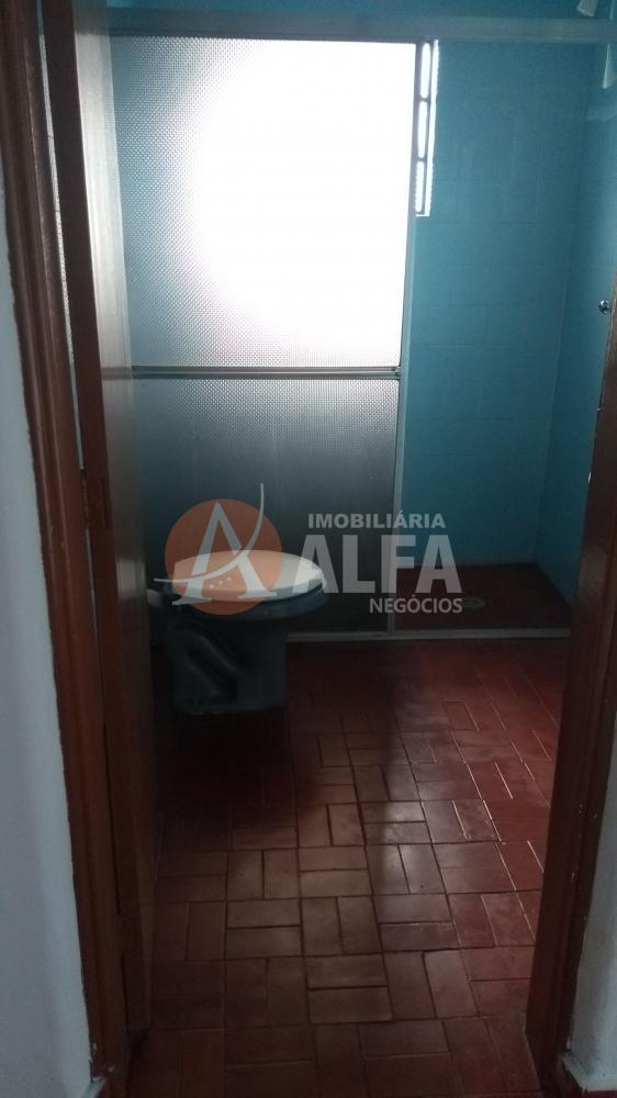 Casa à venda com 3 quartos, 250m² - Foto 50